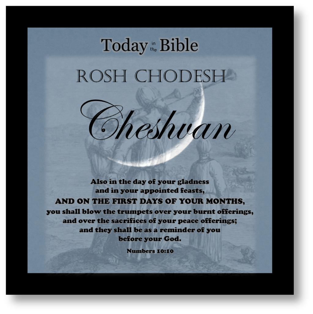 8th Month – Cheshvan