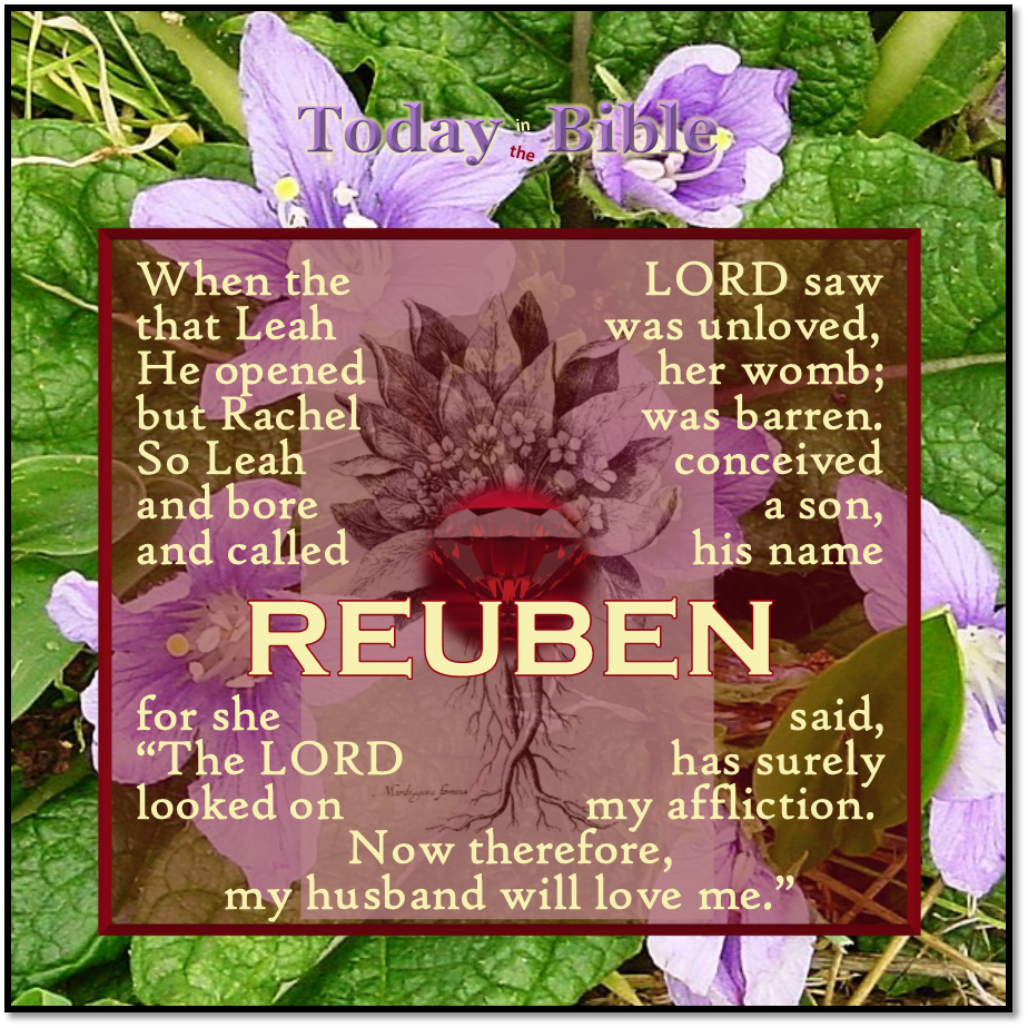 Kislev 14 – And she called his name Reuben…