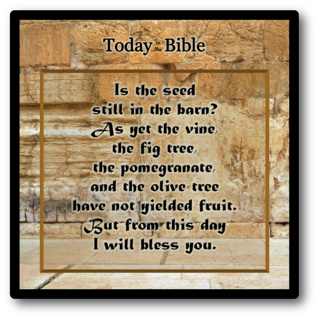 Kislev 24 – From this day I will bless you…