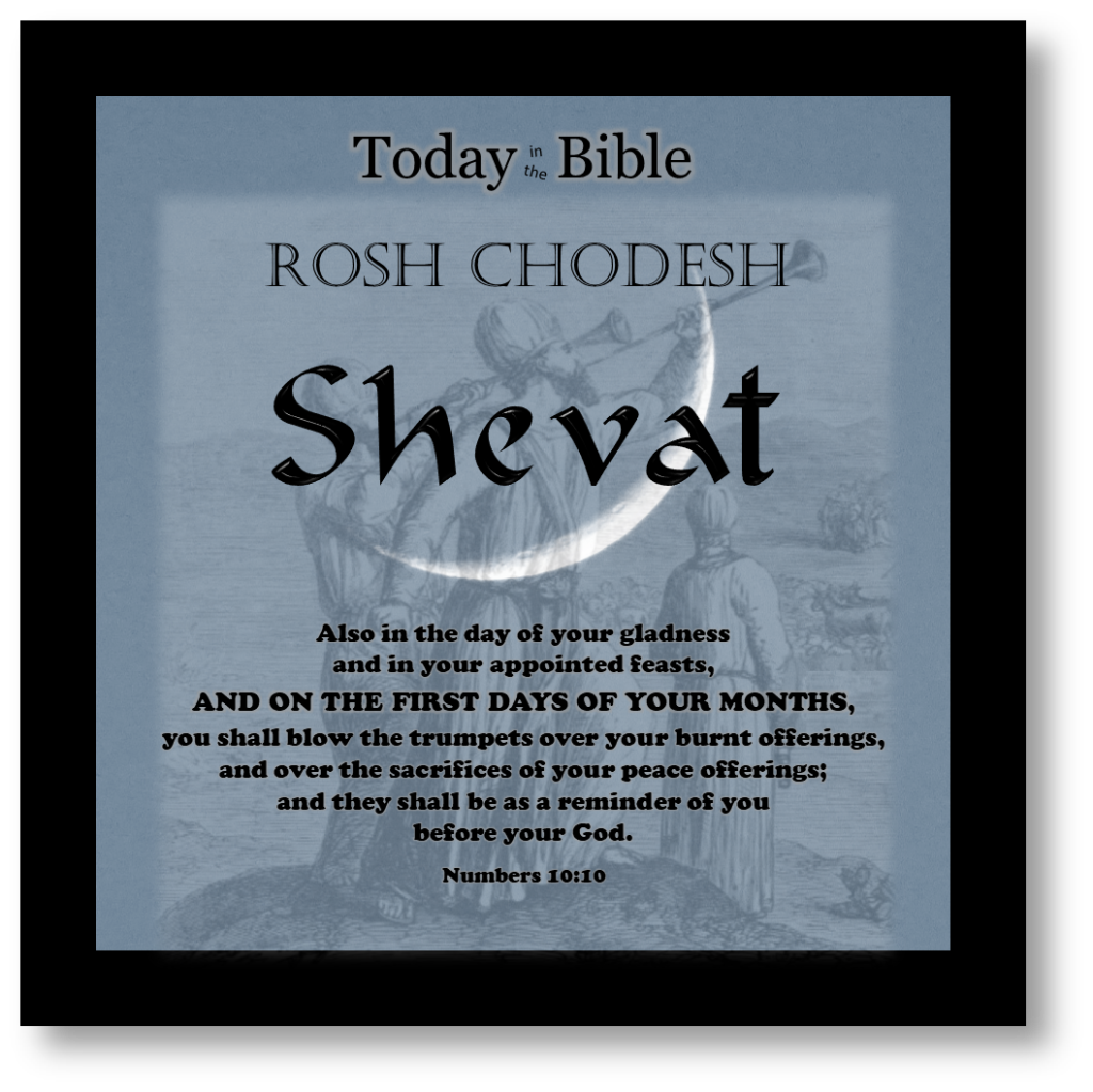 11th Month -Shevat