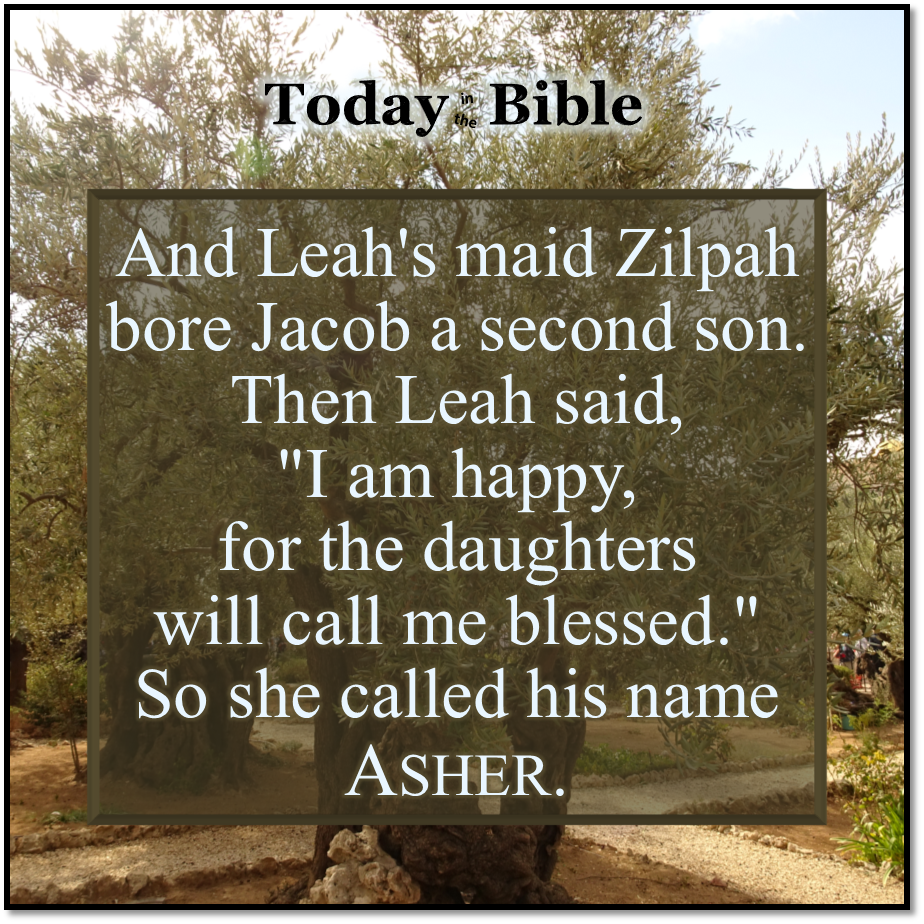 Shevat 20 – And she called his name Asher…