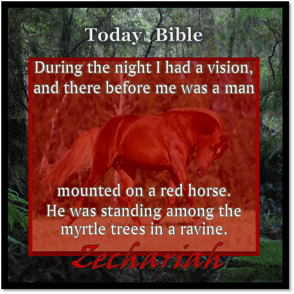 Shevat 24 – I had a vision and before me was a man mounted on a red horse, standing among the myrtle trees…