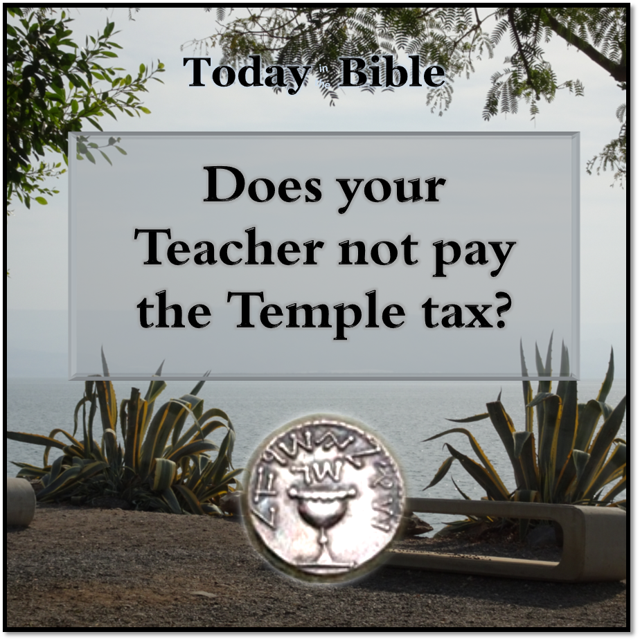 Adar I 29 – Does your Teacher not pay the Temple tax?