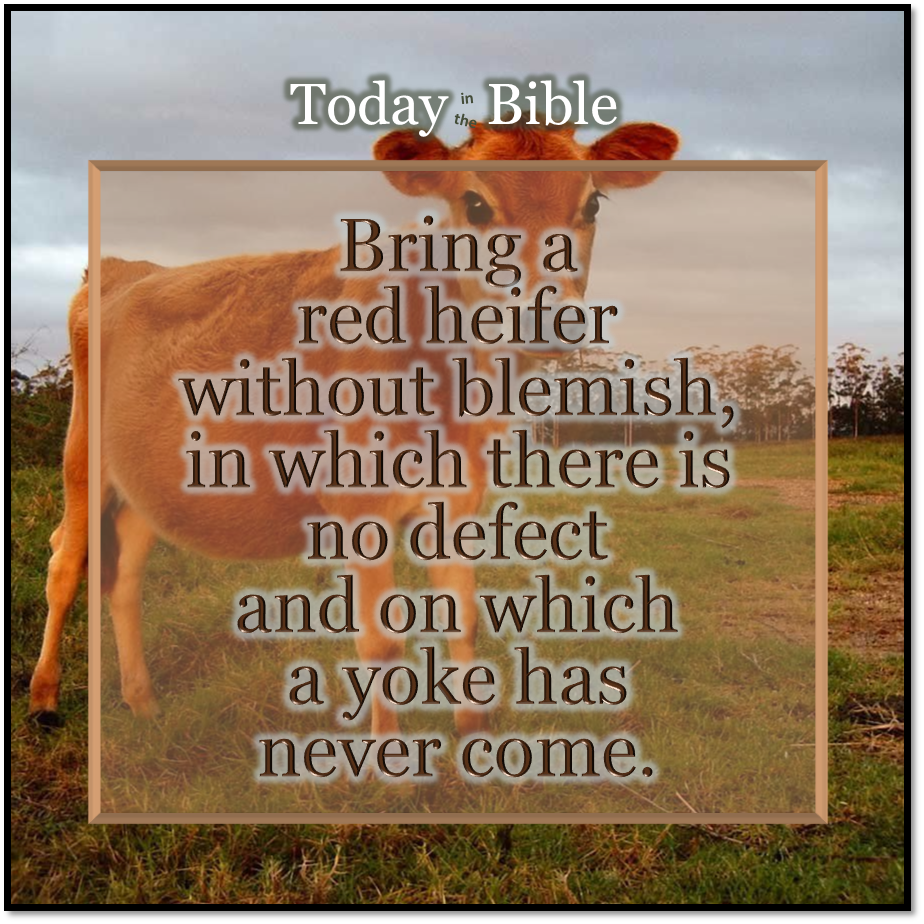 Nisan 2 – Red Heifer