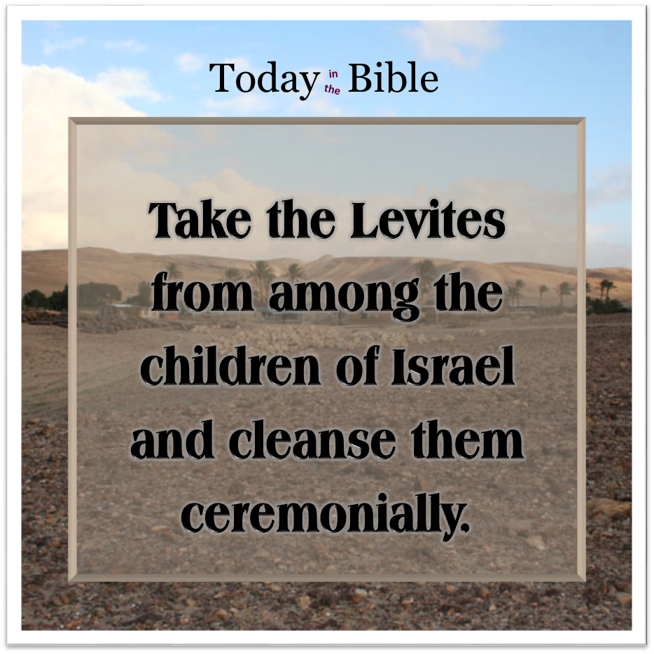 Nisan 3 – Take the Levites and cleanse them…
