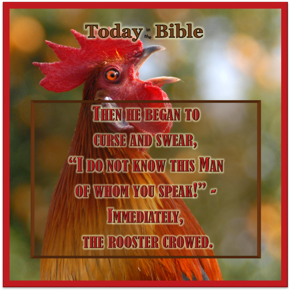Nisan 14 – The Rooster Crowed